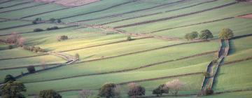 Cottages in Lealholm