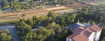 Holiday Rentals in Kokuletovica