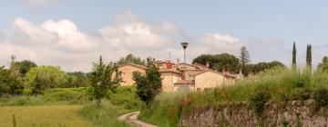 Holiday Rentals in Valli