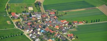 Hoteles familiares en Wildbergerhütte