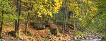 Hoteli u gradu Steinbach an der Steyr