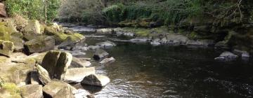 Cottages in Shotley Bridge