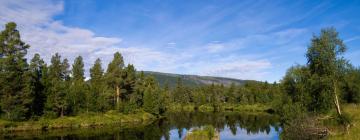 Suusakuurordid sihtkohas Ljusnedal