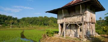 Homestay di Bandar Lampung