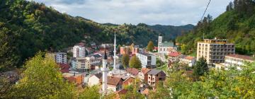 Srebrenica şehrindeki ucuz