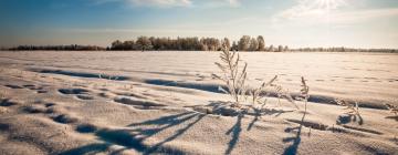 Hotely s parkováním v destinaci Märjamaa