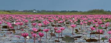 Hoteli u gradu Nakhon Sawan