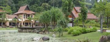 The best available hotels & places to stay near Kampung Janda Baik ...