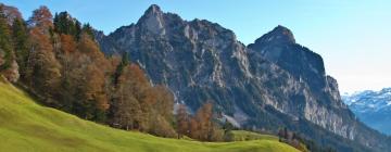 Ferienwohnungen mit Hotelservice in Schwyz