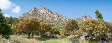 Hoteles que admiten mascotas en Cercedilla