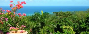 Hoteles con piscina en Saint Annʼs Bay