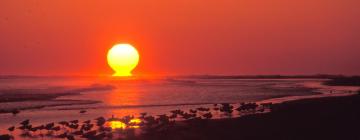 Hotel di Ocean Isle Beach