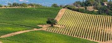 Alojamentos de Turismo Rural em Riotorto