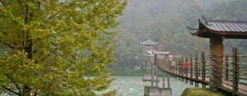 Viešbučiai mieste Dujiangyan