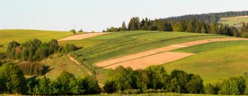 Parkolóval rendelkező hotelek Brzeskóban