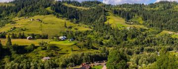 Hotel con parcheggio a Dzembronia