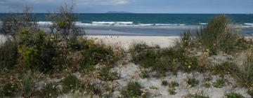 Cottages in Dargaville