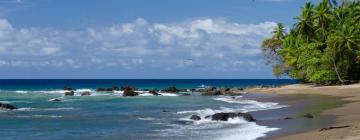 Hoteles en Playa Flamingo