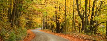 Hôtels avec parking à Flörsbachtal