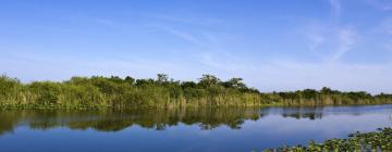 Hotéis em Plantation