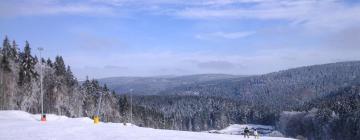 Отели с парковкой в городе Schnett