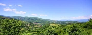 Hotel con parcheggio a Castel Focognano