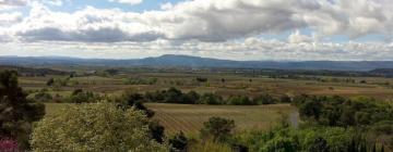 Peyriac-Minervois şehrindeki oteller