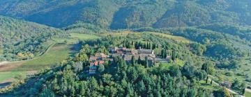 Holiday Rentals in San Pancrazio