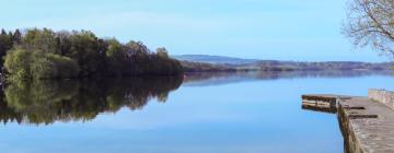 Hoteles en Mountnugent