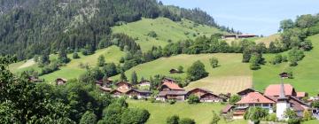 Self-Catering Accommodations in Diemtigen