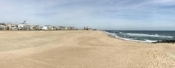 Hoteles que admiten mascotas en Ocean Grove