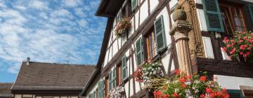 Hotels with Parking in Baldersheim