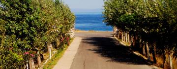 Holiday Rentals in Palaiopoli