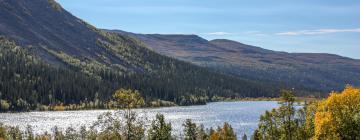 Hoteles con estacionamiento en Fjällhalsen