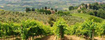 Farm stays in Carmignano