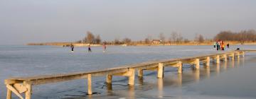 Guest Houses in Jois