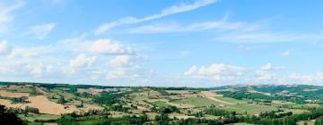 Hotéis em Cordes-sur-Ciel