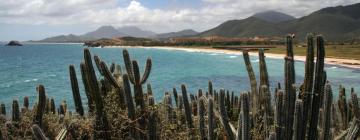 Hoteles con estacionamiento en El Agua