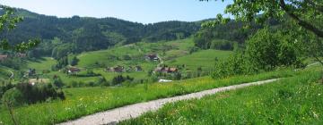 Romantic Hotels in Seebach