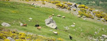 Higuera de las Dueñasのバケーションレンタル