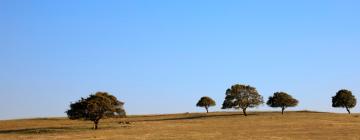 Casas de campo em Azinheira dos Barros