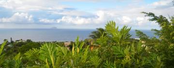 Hoteles familiares en Cudjoe Head