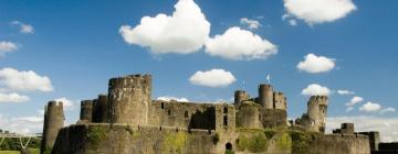 Cama e cafés (B&Bs) em Caerphilly