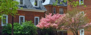 Pet-Friendly Hotels in College Park