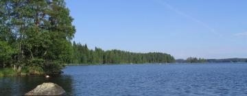 Отели с парковкой в городе Leivonmäki