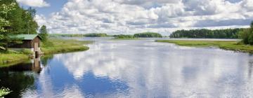 Lemmikkiystävälliset hotellit kohteessa Risudden