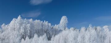 Хотели с паркинг в Sidrabiņi