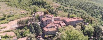 Holiday Rentals in Castiglion Fibocchi