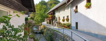 Apartments in Bohinjska Bela