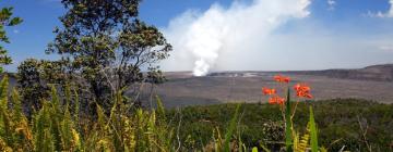 Hoteli u gradu 'Volcano'